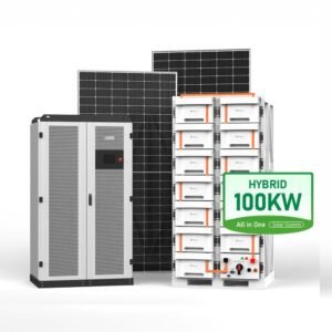 Hybrid Model